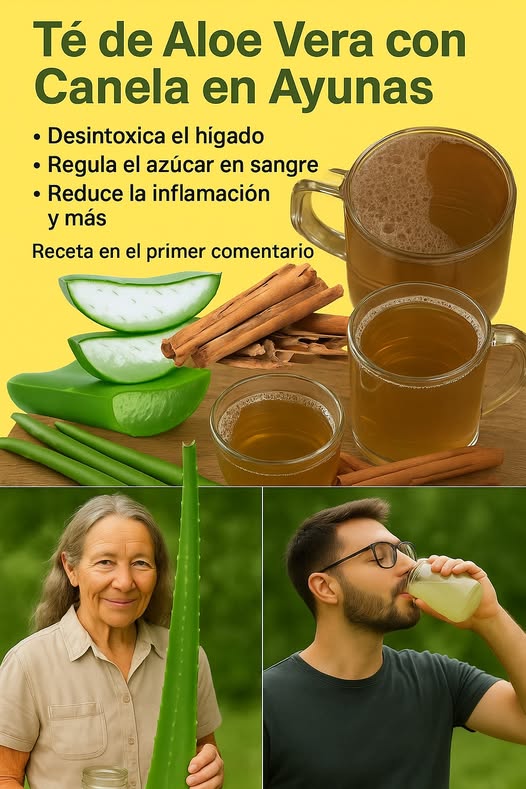 Té de Aloe Vera con Canela
