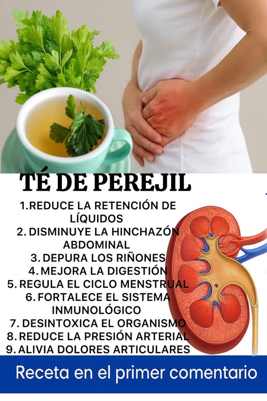 Té de Perejil y sus Beneficios para la Salud