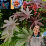 El Oro Verde del Jardín: Beneficios y Usos de la Planta de Ricino