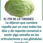 Beneficios del repollo en la salud: un aliado para la tiroides y las articulaciones