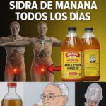Beneficios de Usar Vinagre de Sidra de Manzana a Diario