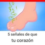 5 Señales de que tu Corazón Está en Grave Peligro
