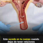 Impacto en el Cuerpo al Interrumpir las Relaciones Íntimas