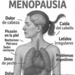 Síntomas de la Menopausia: Guía Completa para su Manejo Natural