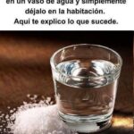 Transforma el Ambiente de tu Hogar con Agua, Vinagre y Sal