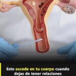 Impacto en la Salud Sexual: Cómo Reacciona Tu Cuerpo al Suspender la Vida Íntima