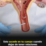 Impacto en Tu Cuerpo al Dejar de Tener Relaciones Íntimas