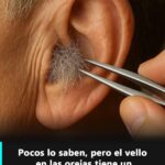 ¿Por Qué Te Crecen Pelos en el Oído? Descubre su Significado y Cuidados Naturales