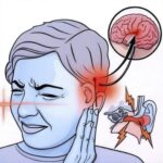 El Zumbido en el Oído: Causas, Síntomas y Remedios Naturales