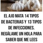 El Ajo: Un Superhéroe Natural Contra Enfermedades