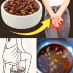 Clavo de Olor: Un Poderoso Remedio Natural para el Bienestar Femenino