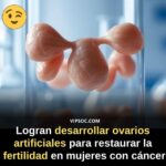 Ovarios Artificiales: Un Avance Médico para la Fertilidad Femenina tras el Cáncer