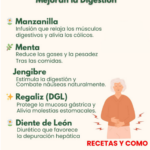 5 Plantas que Alivian la Hinchazón y Mejoran la Digestión