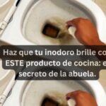 Haz que tu Inodoro Brille con Estos Consejos y Remedios Naturales
