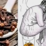 El Poder del Clavo Dulce: Desintoxícate y Mejora Tu Bienestar