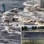 Remedios Naturales y Caseros para Mantener la Salud Tras un Terremoto