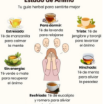 Infusiones Naturales para Mejorar tu Estado de Ánimo