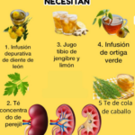 Refuerza la Salud Renal: Descubre Infusiones y Jugos Naturales