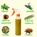 Crece Tu Cabello de Forma Natural: Receta con Menta, Romero y Más