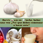 Beneficios de Hervir Ajo en Leche: Un Remedio Natural Potente