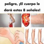 8 Señales de que Tus Riñones Están en Peligro