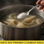 Cómo Hervir Mondongo (Callos) Sin Olor: El Truco Definitivo