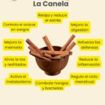 Los Increíbles Beneficios de la Canela: Más que un Simple Sabor