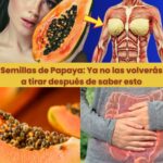 Semillas de Papaya: Beneficios Ocultos que No Conocías