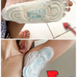 Usos Creativos de las Almohadillas Absorbentes para la Salud