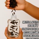 Mezcla de Aceite de Bebé y Clavos de Olor: Un Remedio Natural para Tu Bienestar