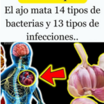 El Poder del Ajo: Un Remedio Natural para Combatir Bacterias e Infecciones