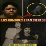 Remedios Caseros: Cómo Mejorar tu Salud con Recursos Naturales