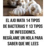 El Poder del Ajo: Un Ingrediente Mágico para Proteger Tu Salud