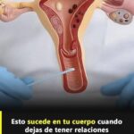 Impacto de la Falta de Relaciones Íntimas en el Cuerpo Femenino