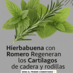 Hierbabuena y Romero: La Dúo Potente para Regenerar Cartílagos