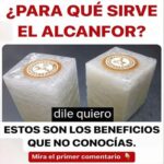 Los Sorprendentes Beneficios del Alcanfor que no Conocías