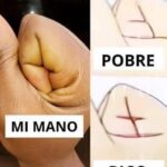 Las Manos que Hablan: Un Meme que Refleja la Realidad Económica