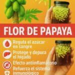 Descubre los Asombrosos Beneficios de las Flores de Papaya para tu Salud