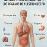 El Impacto de las Emociones en la Salud Física