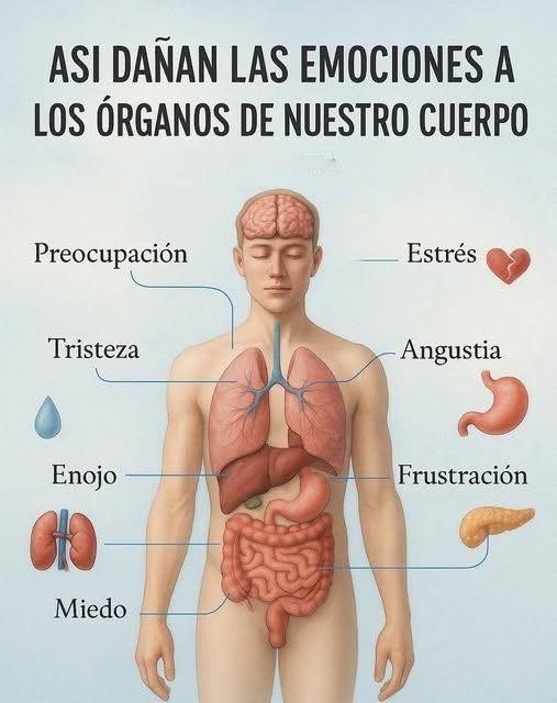 Ilustración del cuerpo humano y su relación con las emociones