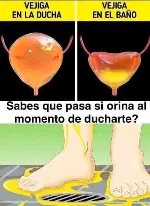 Ilustración humorística sobre orinar en la ducha