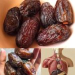 Los Poderosos Dátiles: El Superalimento que Transforma Tu Salud al Consumirlo por la Noche