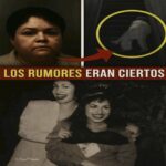 El Impacto de los Remedios Naturales en la Salud y Bienestar