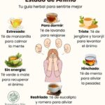 Infusiones Naturales para Cada Estado de Ánimo: Encuentra tu Té Ideal