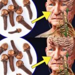 El Poder del Clavo de Olor y Sus Beneficios para la Salud
