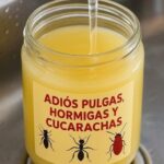 Adiós a los Insectos: Remedios Caseros para Repeler Plagas de Forma Efectiva