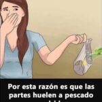 Si Tu Ropa Interior Huele Mal: Causas y Soluciones Naturales
