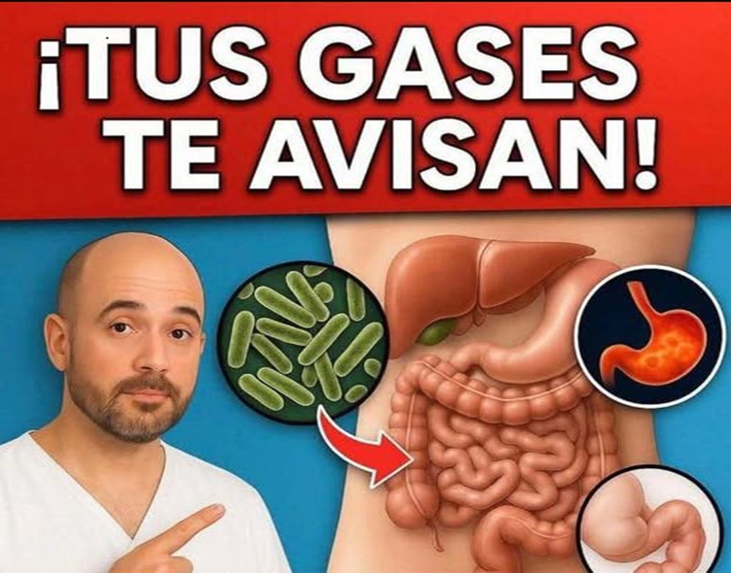 Intestinos saludables