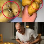 Papas con Brotes: Un Riesgo Oculto para la Salud
