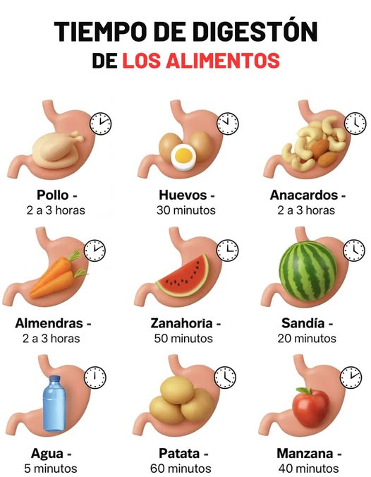 Alimentos saludables